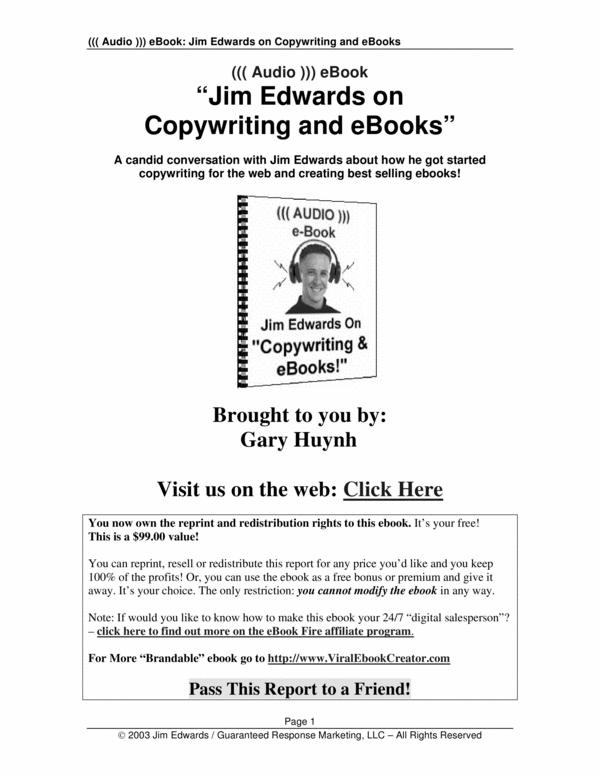 Product picture Copywriting for the web and eBooks